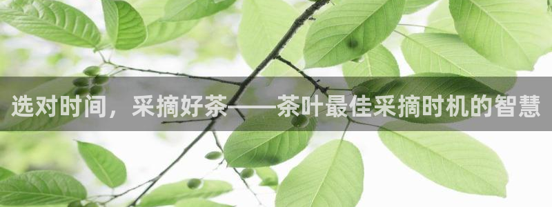 龙八国际app鄂州