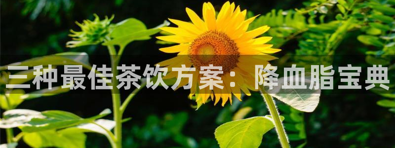 龙八国际选q18点tv