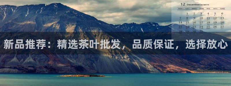 龙八国际可b48点tv